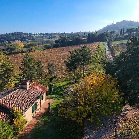 Il Vigneto Cottage Бертіноро Екстер'єр фото