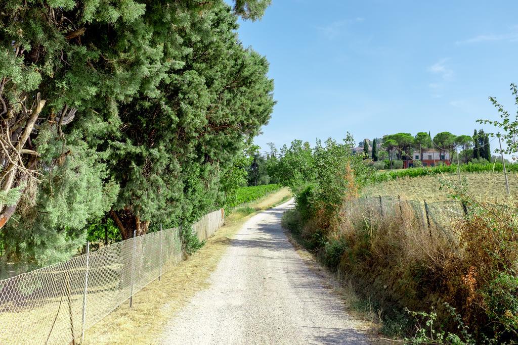 Il Vigneto Cottage Бертіноро Екстер'єр фото