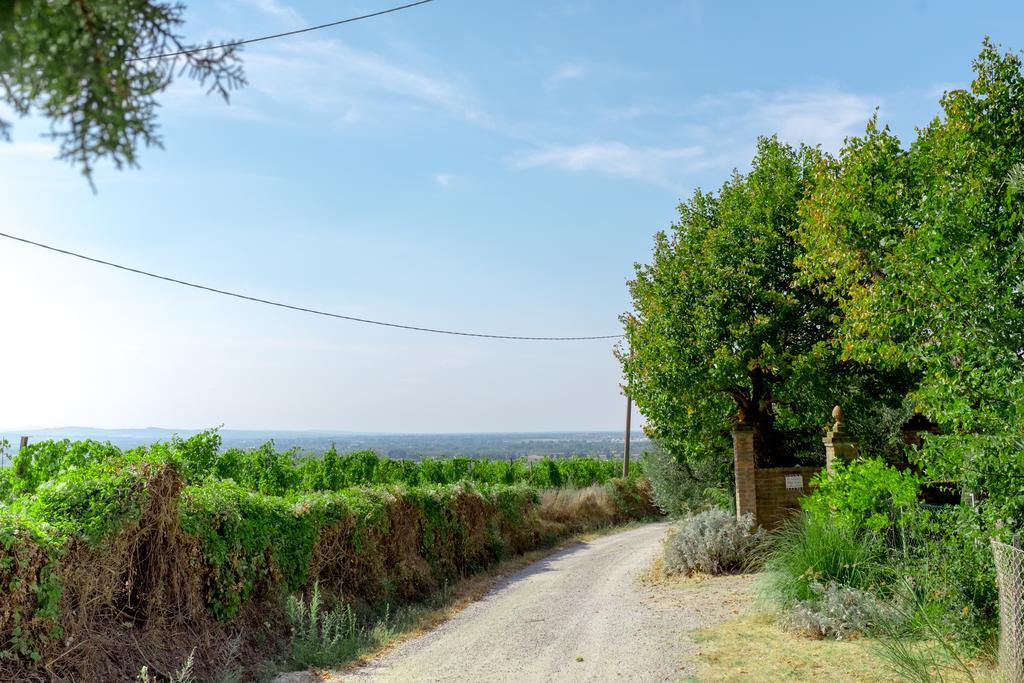 Il Vigneto Cottage Бертіноро Екстер'єр фото