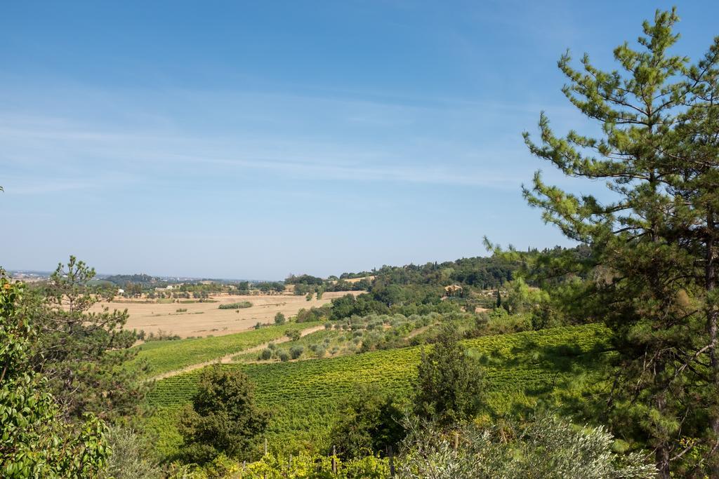 Il Vigneto Cottage Бертіноро Екстер'єр фото